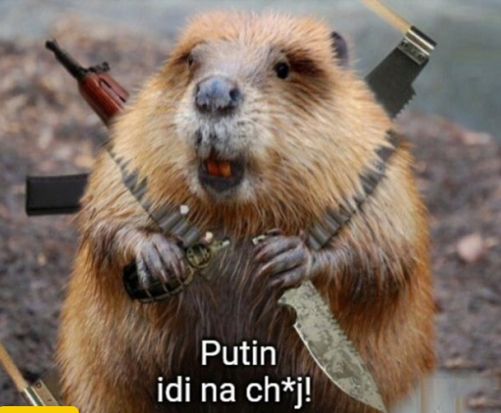 Brave Beaver Brave Beaver