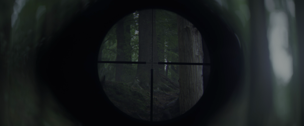 vlcsnap-2025-02-04-21h53m39s292