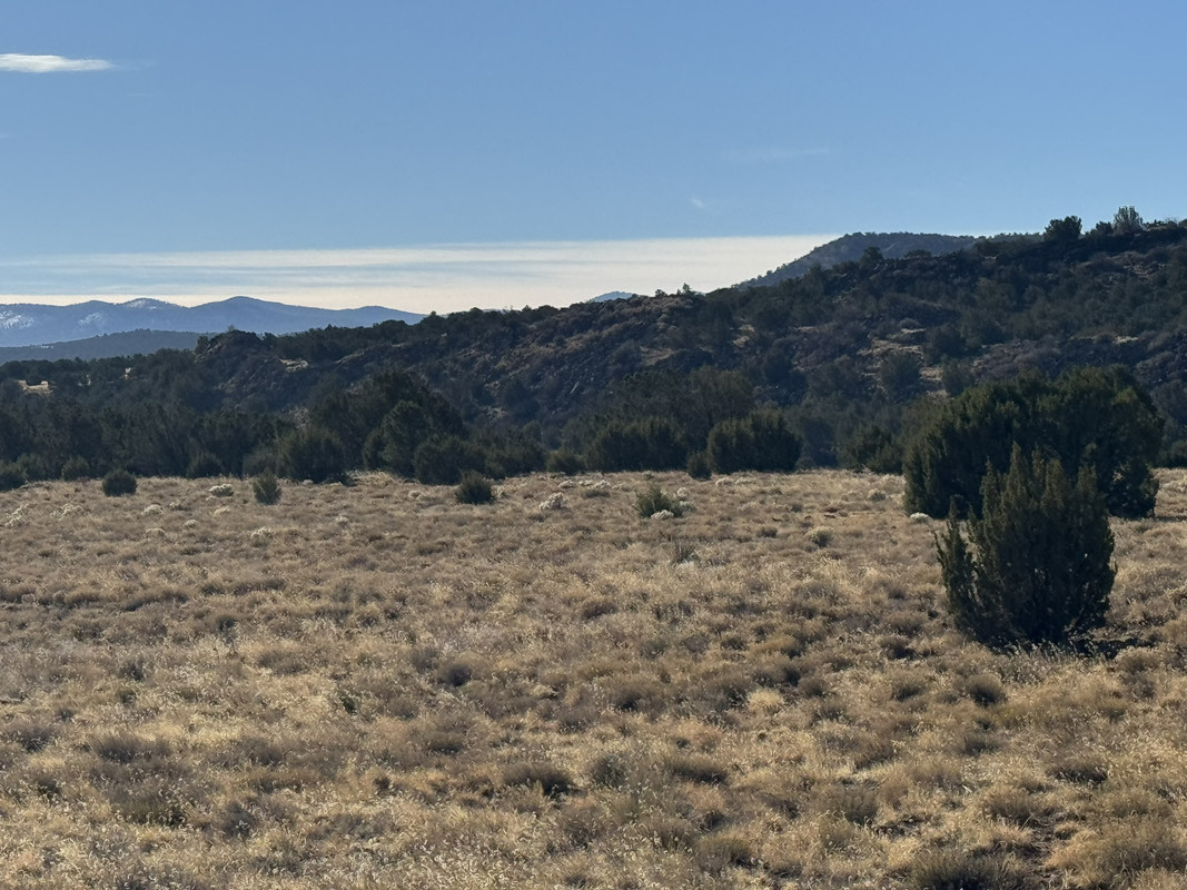 1.26 acres, Show Low side of Concho, Electric, what??