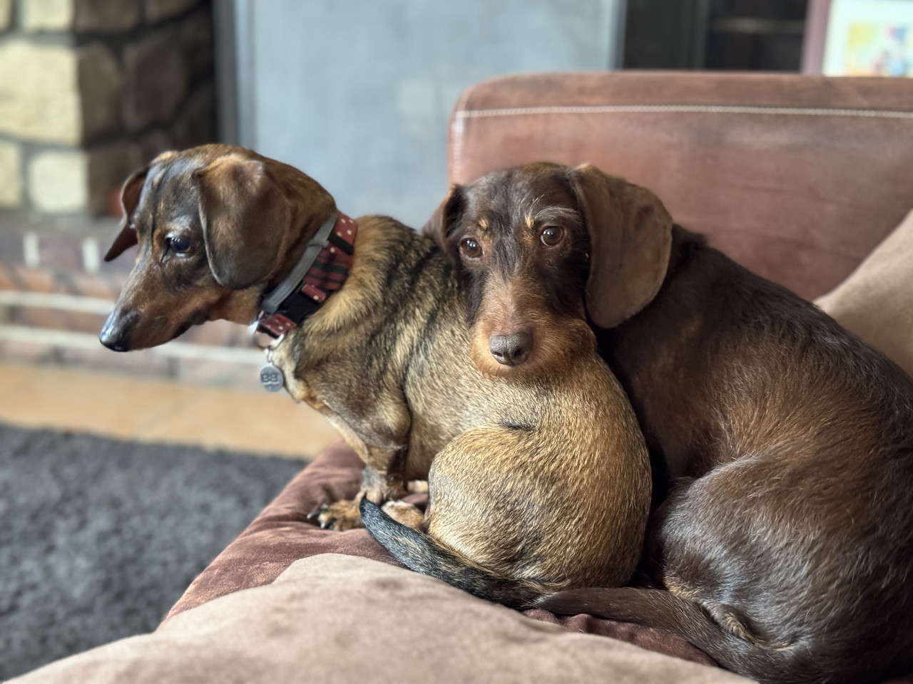 [Image: IMG-5908.jpg]