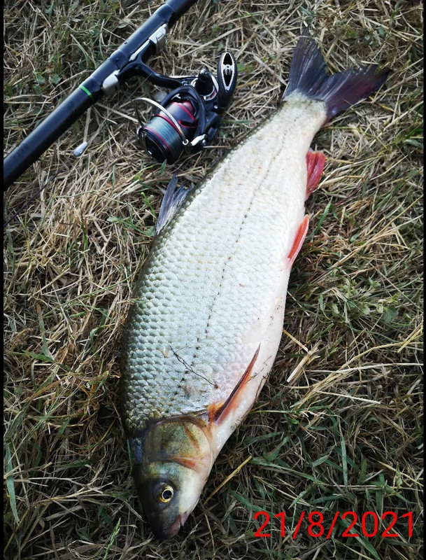 received_202496365195731(1)