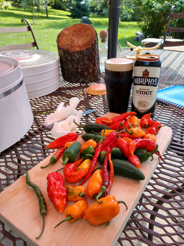 peppdry1