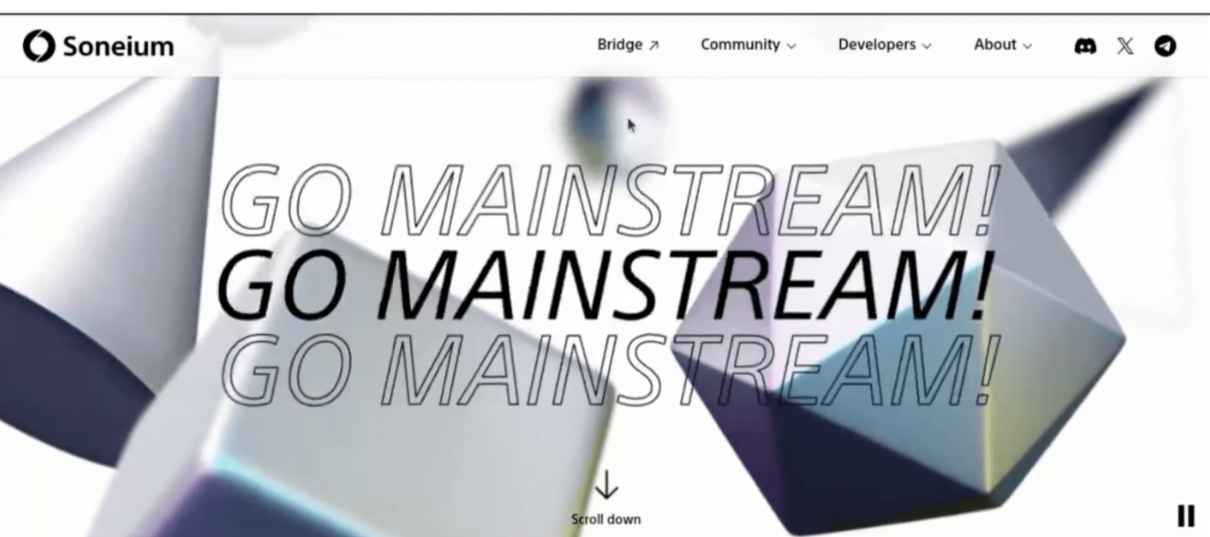 article content image