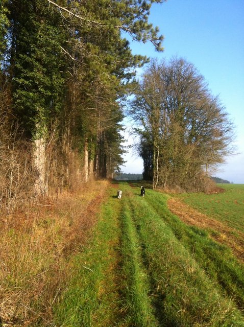 Afbeelding