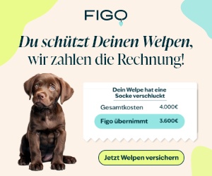 Figo Tierkrankenversicherung