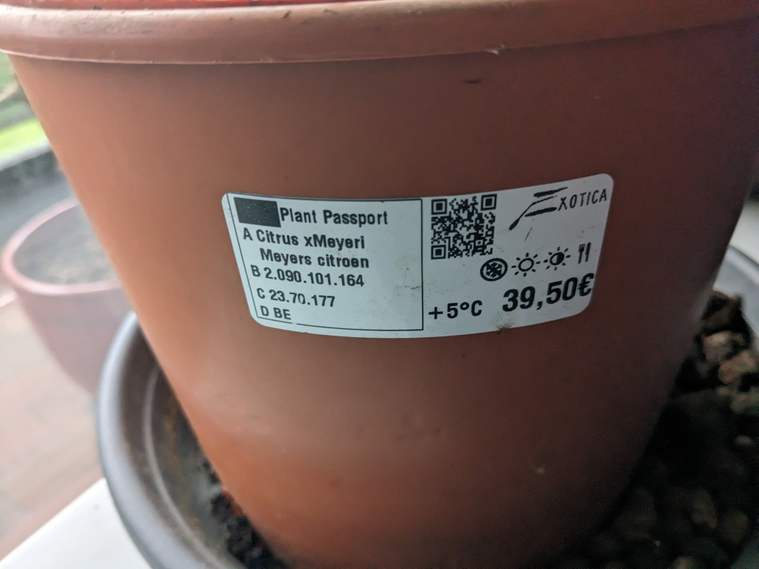 PXL_20240102_113704615