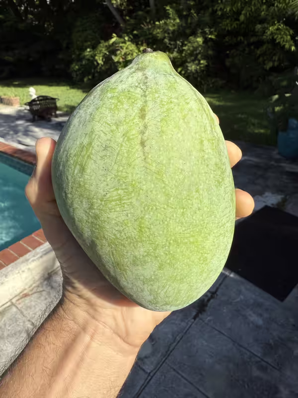 tempImageap3G80