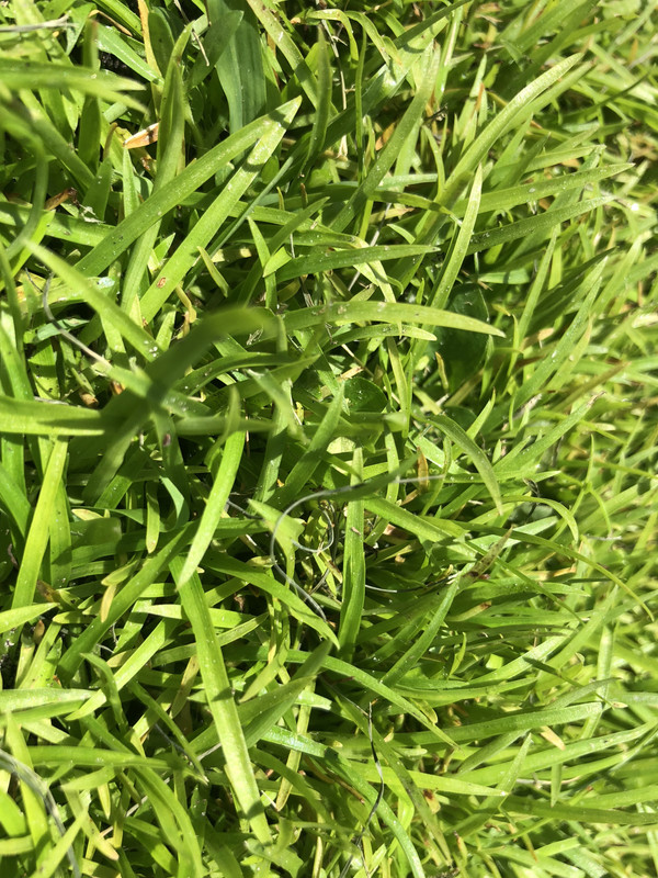 F0A04465-43FE-4F19-9EDB-0BEFF7A6A69C