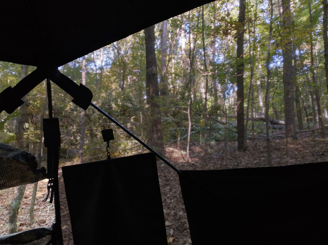 IMG_20221014_092625099_HDR