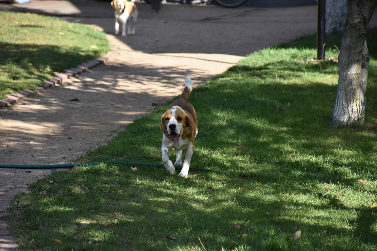 B065A7CD-CEEC-4C50-A7A0-B2202027B1E1