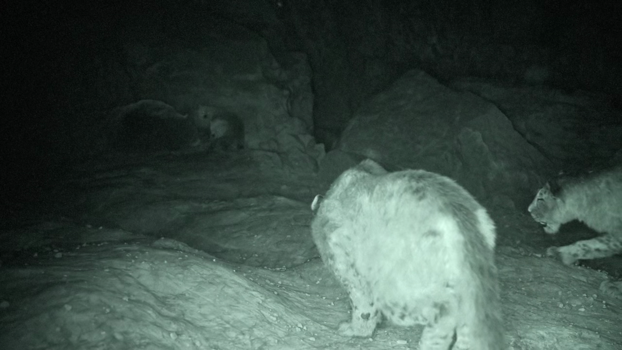 vlcsnap 2025 11 26 03h07m47s613