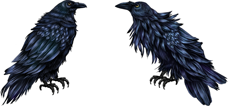 IPD_WP_Element (160)