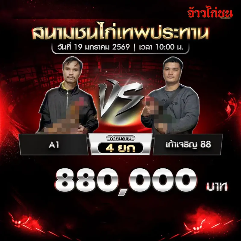 โปรแกรมไก่ชน คู่เด่น A1 พบ เก้าเจริญ 88 ชิง 880,000 บาท ชน 4 ยก