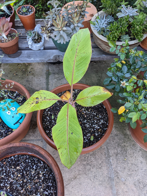 PXL_20210207_172234395