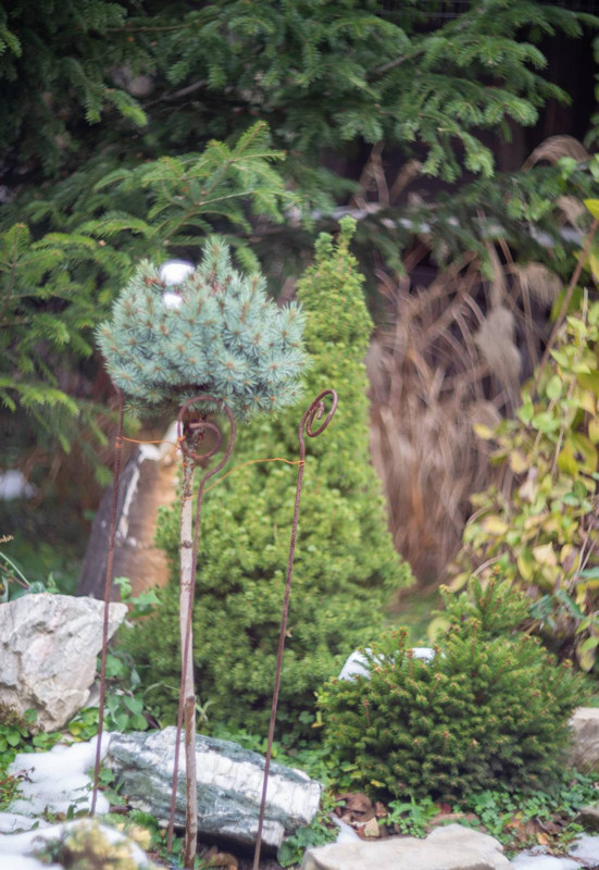 IMG-02be9c1eb0d11943ef6e9eb5978c61e2-V