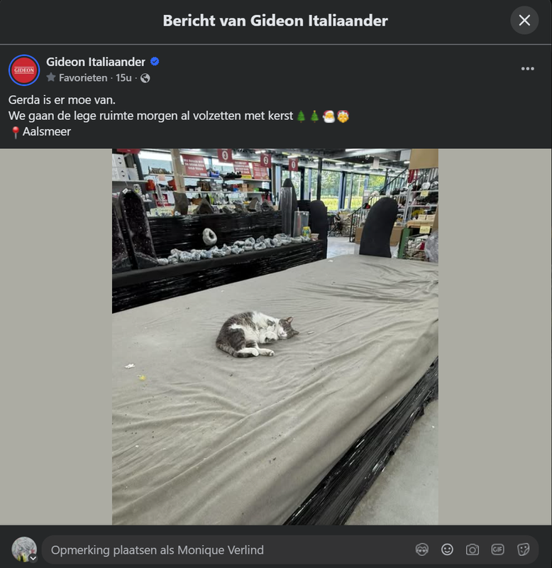 kerstkat.png