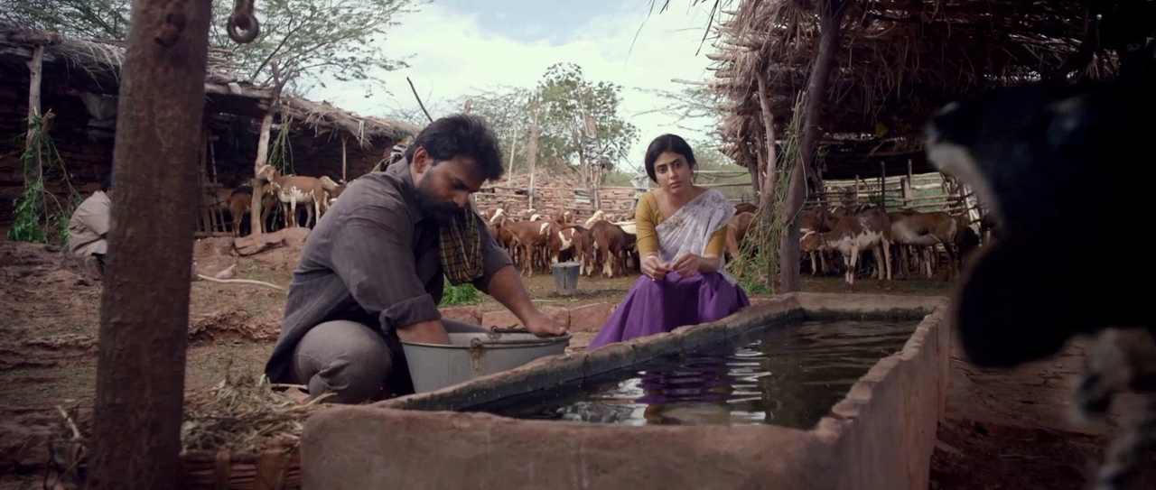 vlcsnap-2025-08-30-19h19m07s507