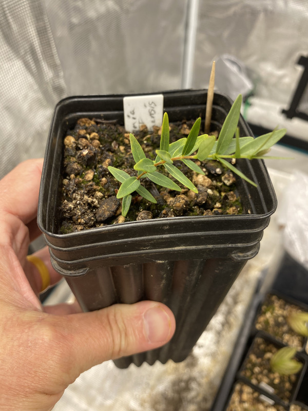 815FE3C0-25B9-4757-AEFF-53EDE73998E1