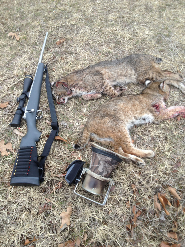 6FE04961-21D8-4F0A-9F68-D568F5E3FEFB