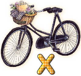 Bici Porta Flores  X
