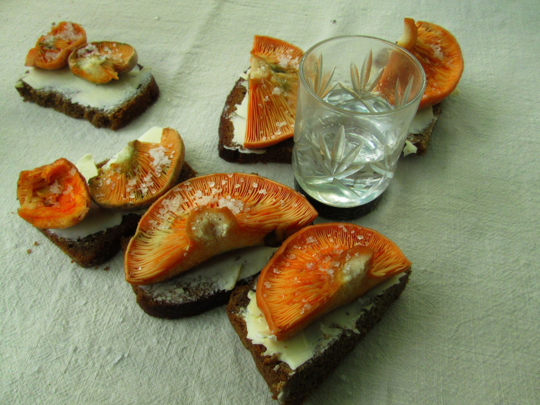 1633339178-0d5b39b0216d6e4a182b6ed42b2d612f