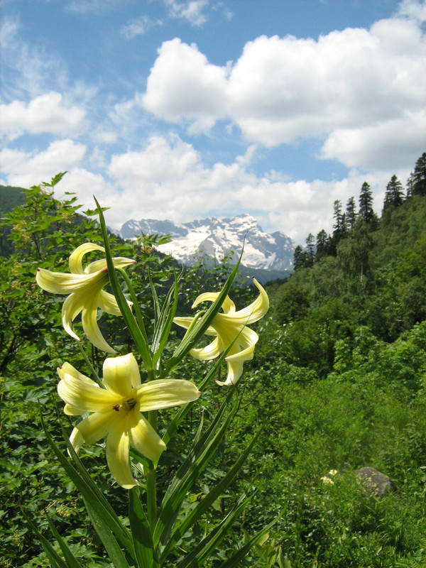 ACE3D8C0-719C-46C1-81FE-C3CD14F2B724