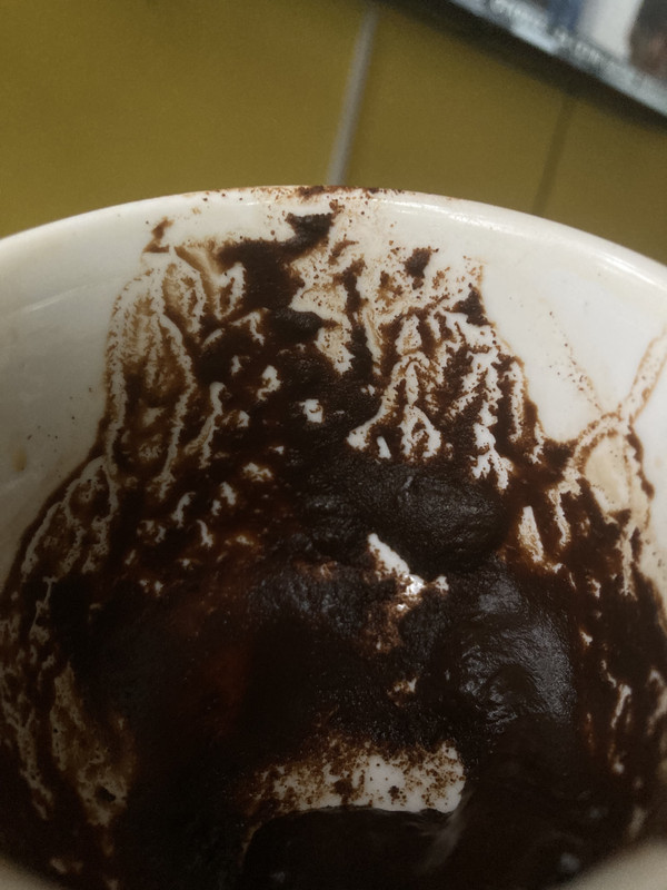 0E4226A2-7FC7-4CCA-9D9C-32087BE4645B