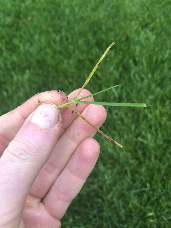 32D007CE-0C97-4903-848E-A4E2F8AAAA12