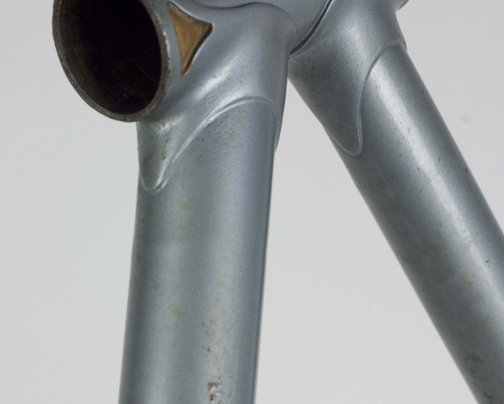 Cap gorla minore Cap gorla minore