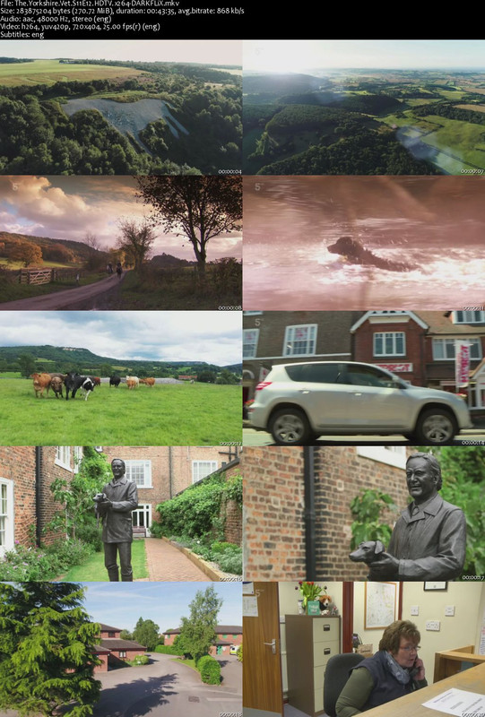 The Yorkshire Vet S11E12 HDTV x264-DARKFLiX The Yorkshire Vet S11E12 HDTV x264-DARKFLiX