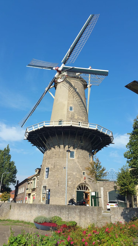 Pieter, De Roode Leeuw 02 Gouda 06-10-2018