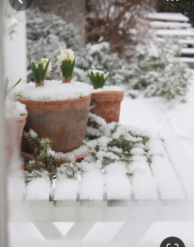 Screenshot_20230618_214609_Pinterest