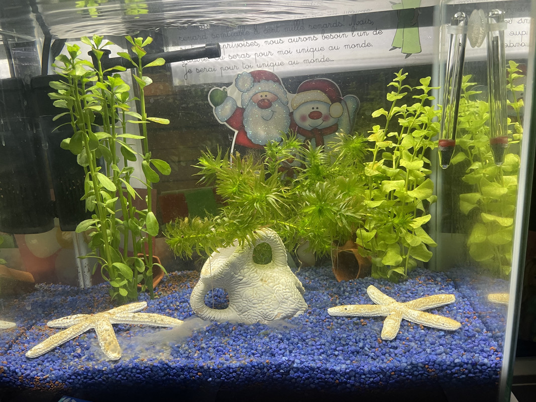 736D9DAE-844B-43AB-9F8C-FBD65C4CB671