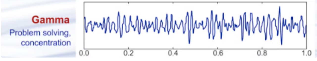 gamma waves