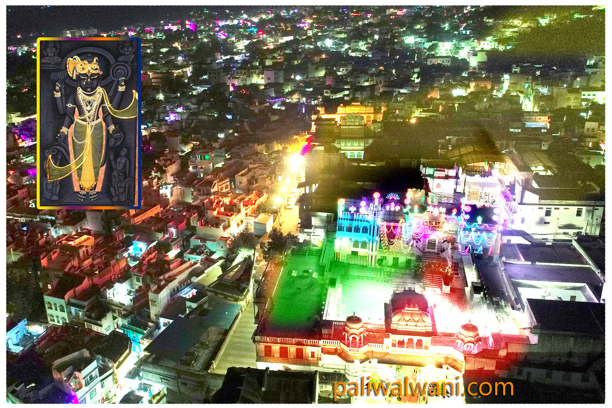 paliwalwani.com