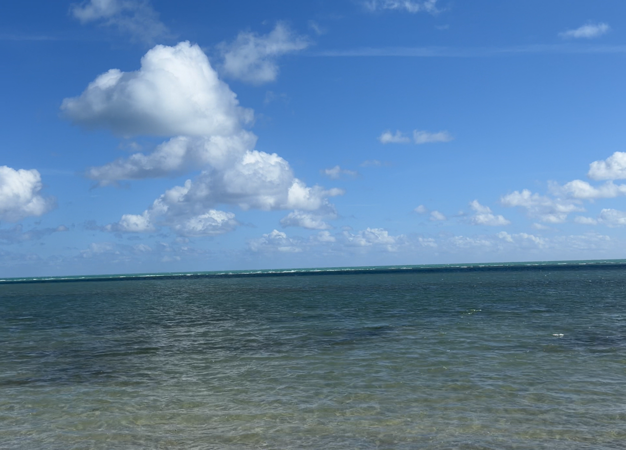 [Image: Crandon-Beach-On-Key-Biscayne4.png]