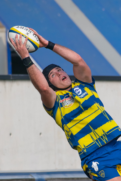 DSC1537-15.jpg