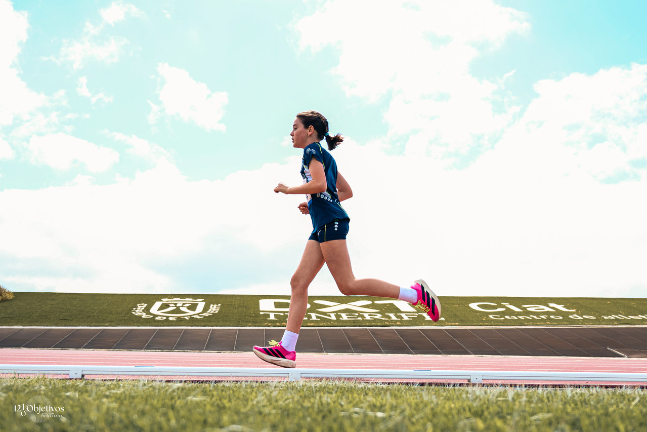 Canary Run 17