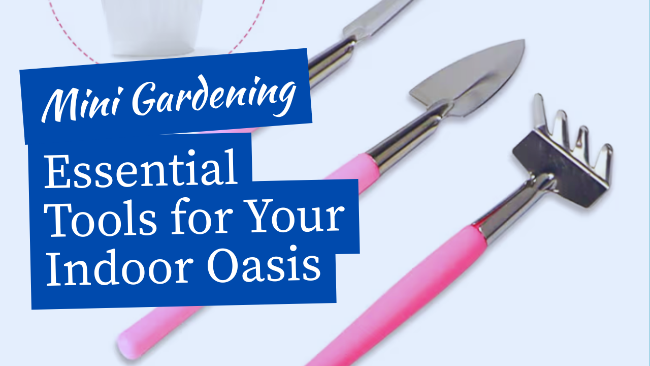 Best Mini Gardening Tools Set for Indoor Gardening