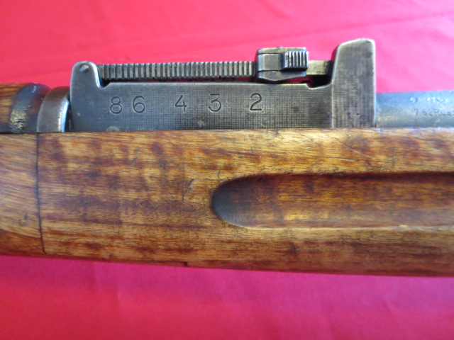 IMG-3524