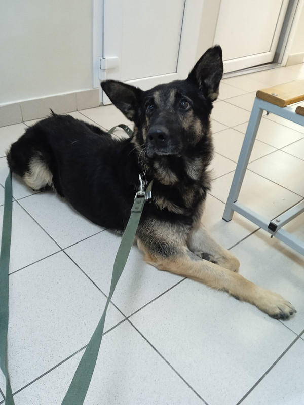 E3B172D1-B736-41DB-A8C6-A2714FC9BEF2