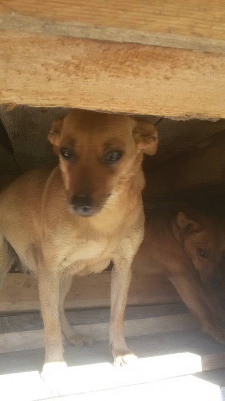 IMG_9075-02-10-18-09-36