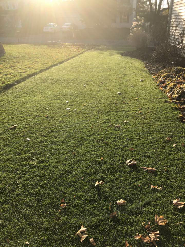 8ccf5dd1-0e4a-43fd-8aca-f7dc8e8dc737