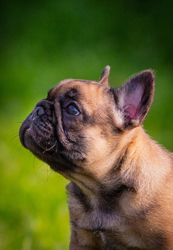 _........ (1 из 1)