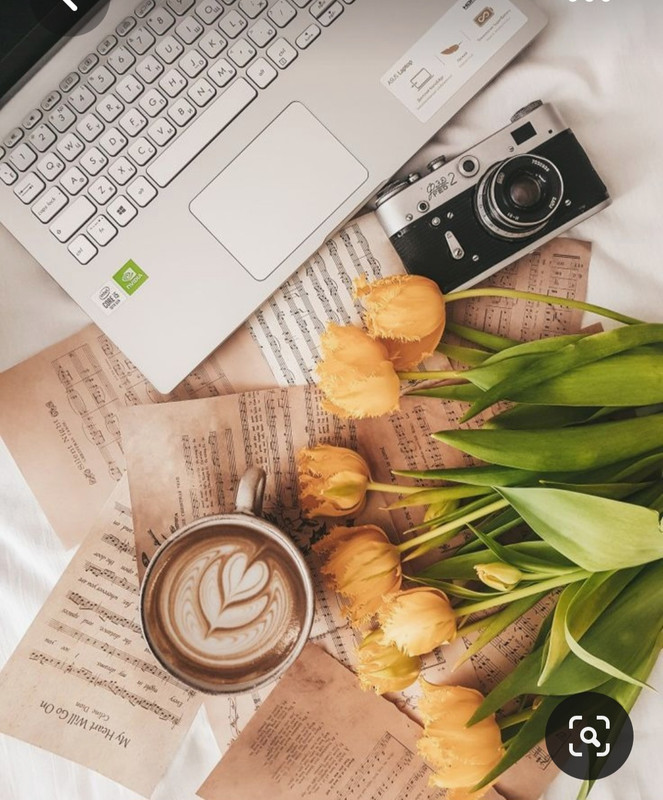 Screenshot_20230819_225834_Pinterest