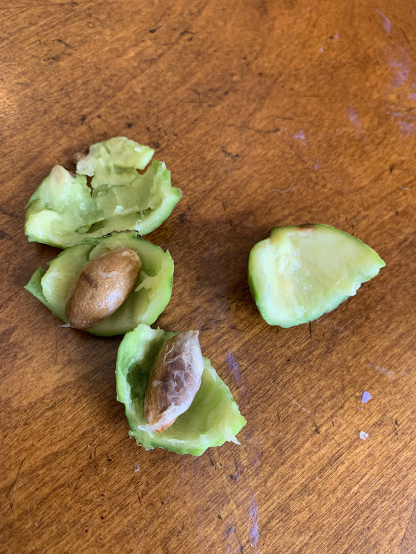 481DE075-20B2-47D4-9AD1-664352B6B929