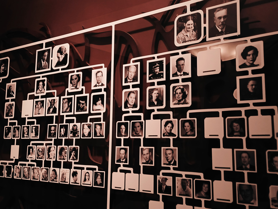 M. ir K. Petrauskų Namai