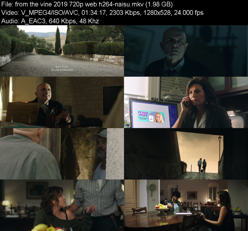 from-the-vine-2019-720p-web-h264-naisu.p