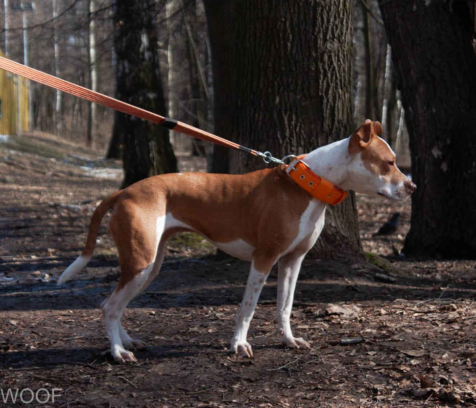 B1E0084B-46DF-4066-91CA-0E20A5F165FE