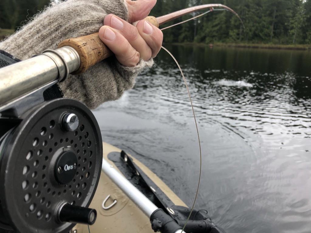 E23B11BB-5012-4053-813C-EC618DF63C7E_1_105_c